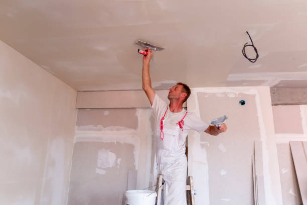 Best Eco-Friendly and Low-VOC Painting  in Lone Tree, IA