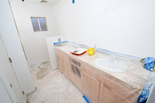 Best Fire-Damaged Drywall Repair  in Lone Tree, IA