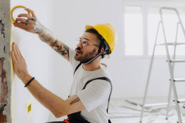 Best Ceiling Drywall Installation  in Lone Tree, IA