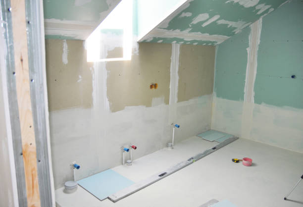 Best Drywall Sanding and Smoothing  in Lone Tree, IA